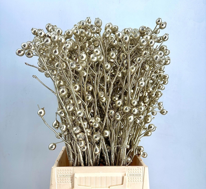 <h4>Rosa Hip Painted $Luxury Platinum H%*</h4>