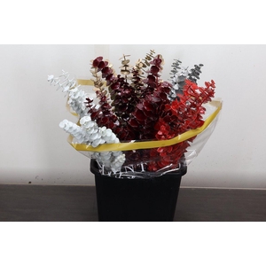 Euca Baby Blue Wx Kerst Mix