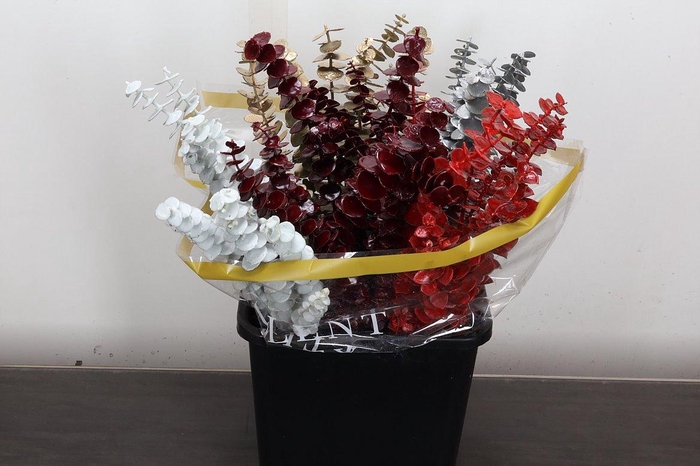 <h4>Euca Baby Blue Wx Kerst Mix</h4>