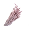 Tarwe Pink Wash