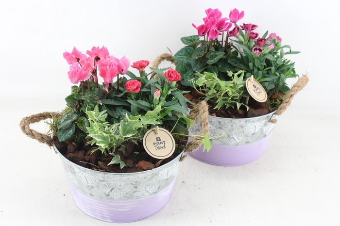 <h4>arr4 Outdoor PL - Zink rond vlinder lila Los</h4>