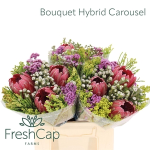 Bouquet Hybrid Carousel