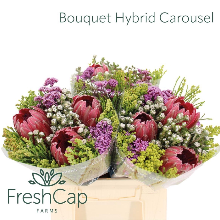 <h4>Bouquet Hybrid Carousel</h4>