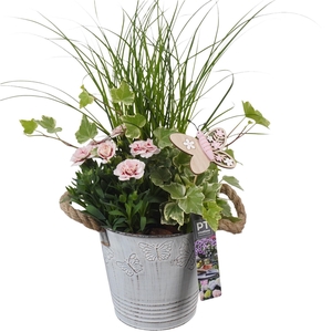 PTPP6815 Arrangement Patio in metalen bak