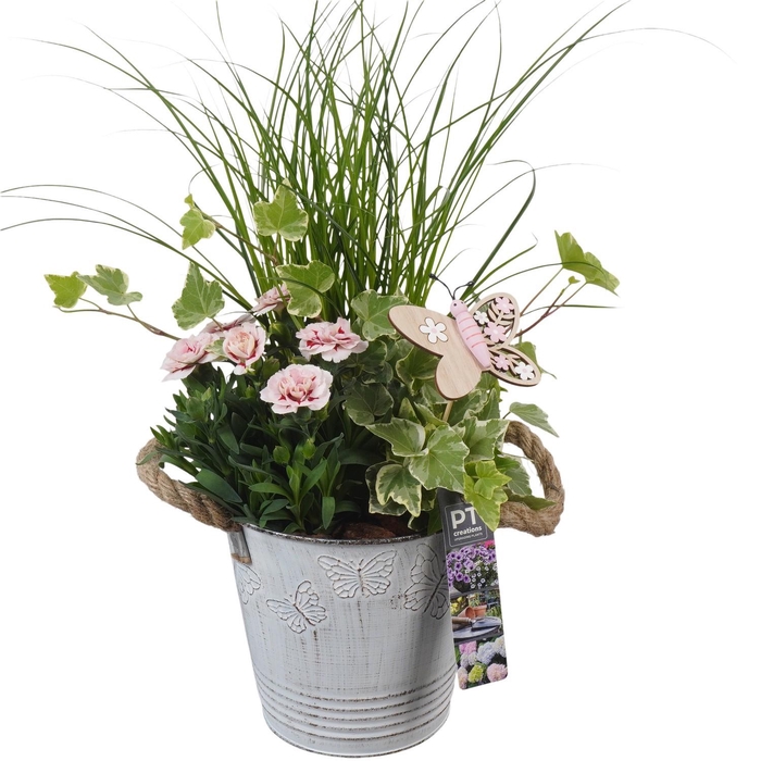 <h4>PTPP6815 Arrangement Patio in metalen bak</h4>