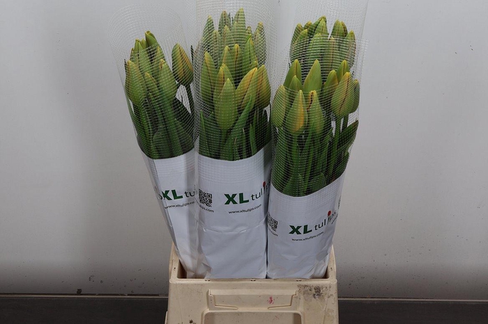 <h4>Tu Frans En Dordogne</h4>