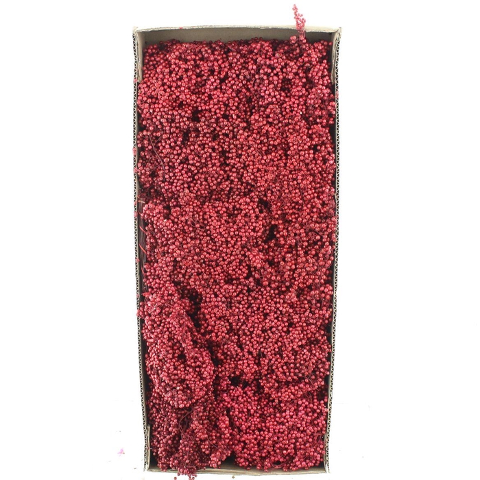 <h4>Dried Pepper Berries Rood</h4>