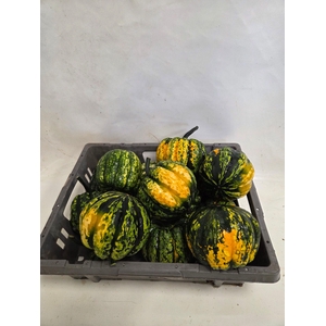 CUCURBITA