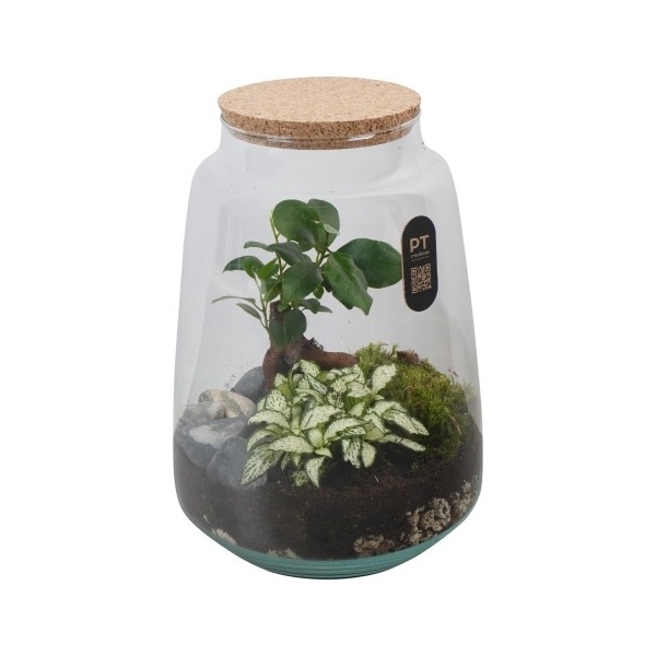 <h4>PTTER8136 Arrangement terrarium in glazen terrarium</h4>