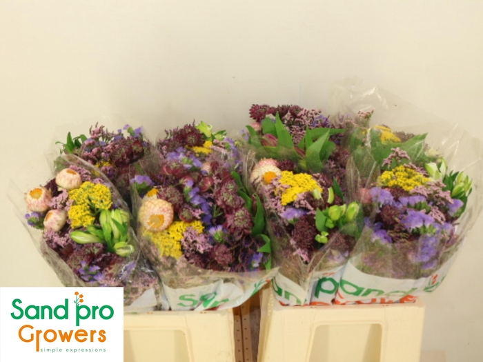 <h4>GEM ZOMERBOEKET</h4>