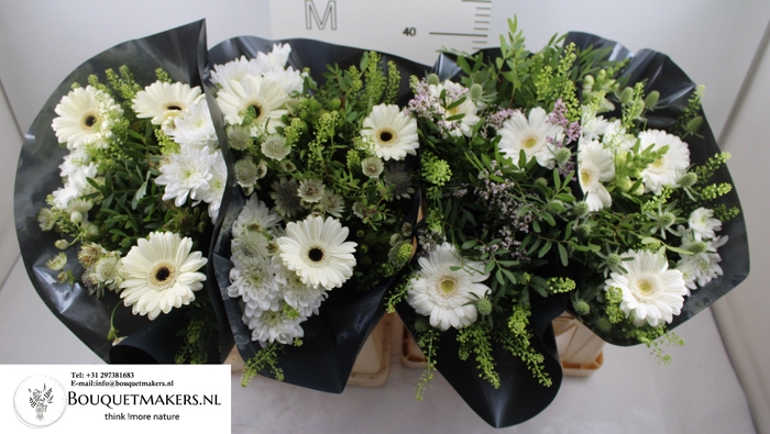 <h4>GEM BOEKET OV</h4>