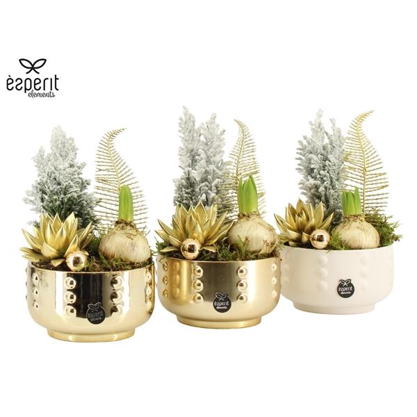 <h4>Arrangementen Kerst 6%</h4>
