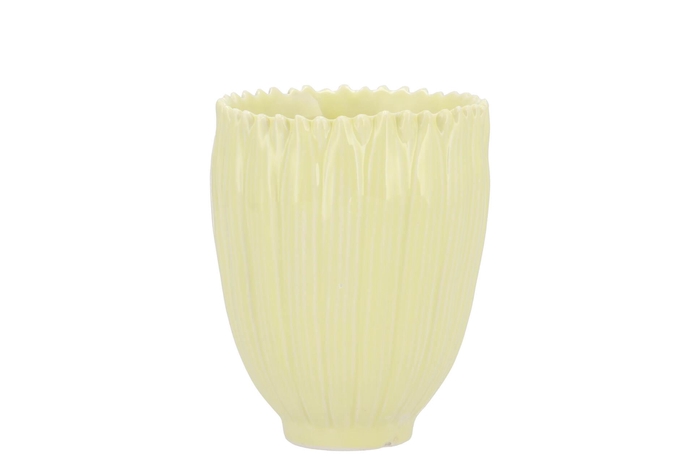 Bloom Daisy Dreamy Yellow Cup 9x9x11cm Nm