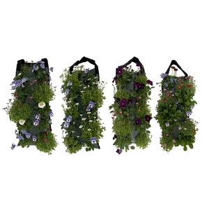 VM9710 voorjaarsmix wandhanger