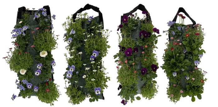 <h4>VM9710 voorjaarsmix wandhanger</h4>