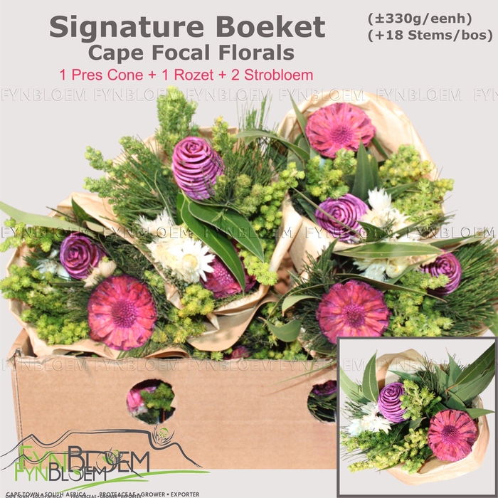 <h4>KAAPS GROE GEM IN BS</h4>