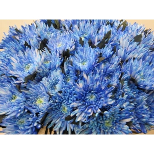 Chr G Topspin Blauw