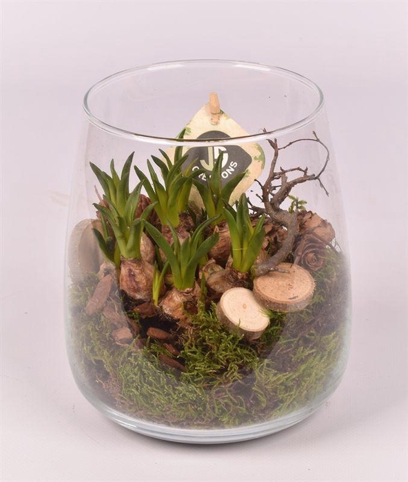 <h4>Glas vaas D12/15 hoog 17</h4>