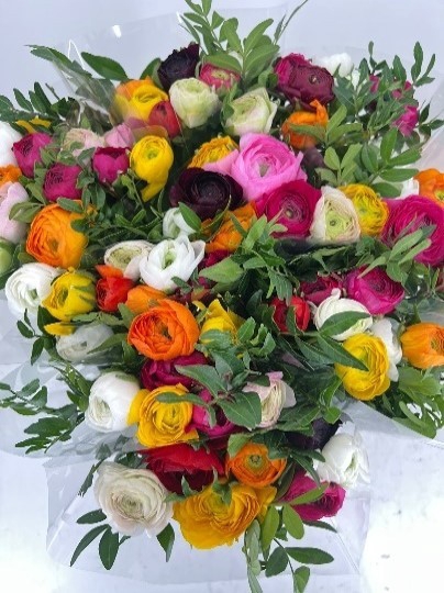 <h4>Bouquet 5 Ran.</h4>