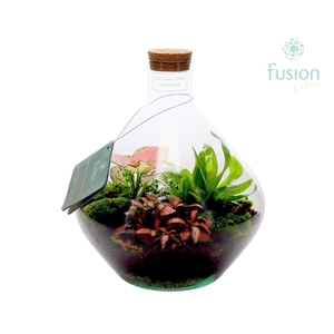 Terrarium John Medium met arrangement