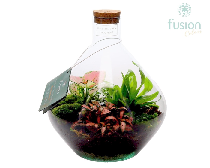 <h4>Terrarium John Medium met arrangement</h4>