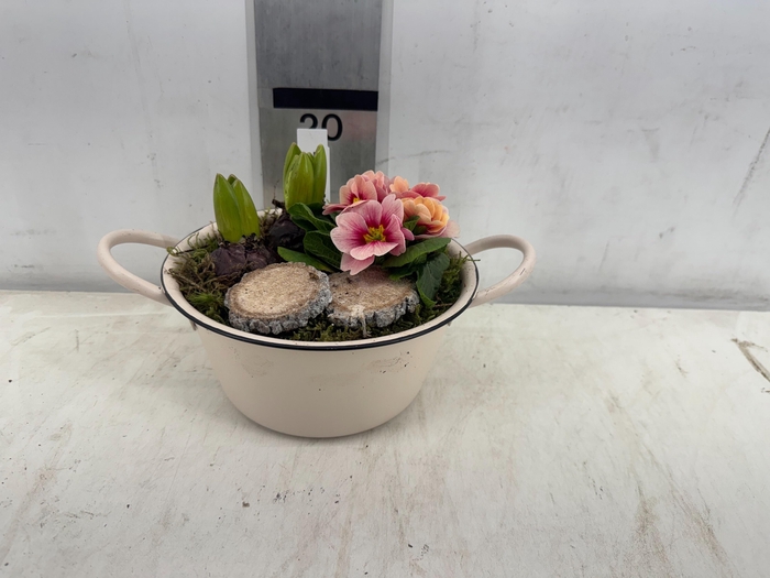 <h4>ARR PL IN SCHAAL</h4>