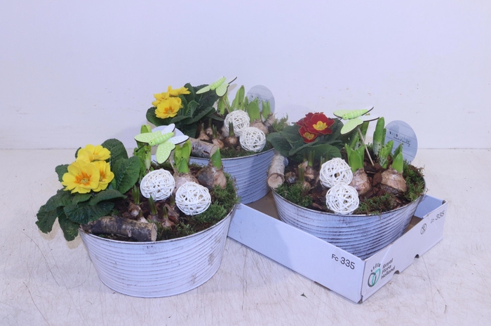 <h4>ARR TUINPLANTEN</h4>