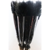 Dried Cortaderia Lao Grass Bleached Black P Stem