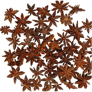 Droogvrucht Steranijs 500g