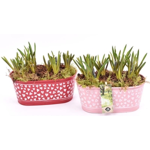 Zink ovaal hart decor 18x10cm