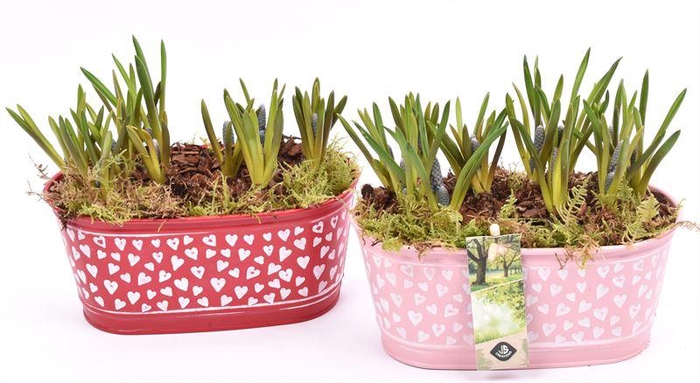 <h4>Zink ovaal hart decor 18x10cm</h4>