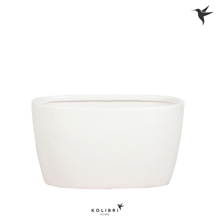 <h4>Kolibri Home Oval twin pot</h4>