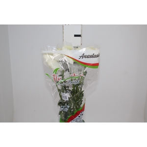 ANASTASIA SPECIAL 080 CM