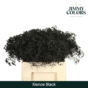 Gyps xlence L60 Black