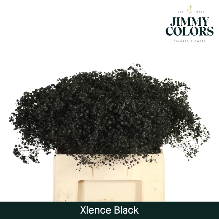 <h4>Gyps Xlence L60 Black</h4>