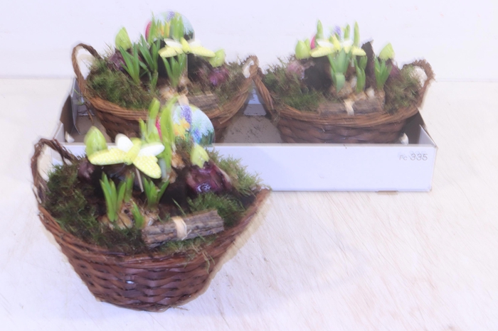 <h4>ARR BOL KNOLGEWAS</h4>