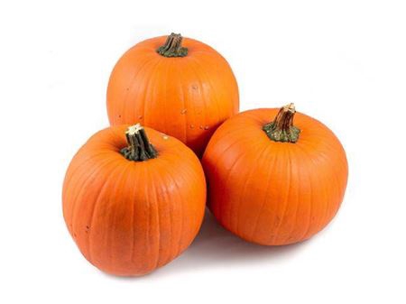 Sier Cuc P Maxima Halloween X3