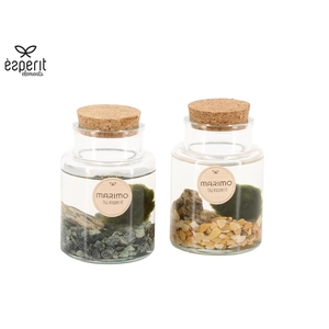 90544: Marimo arrangement