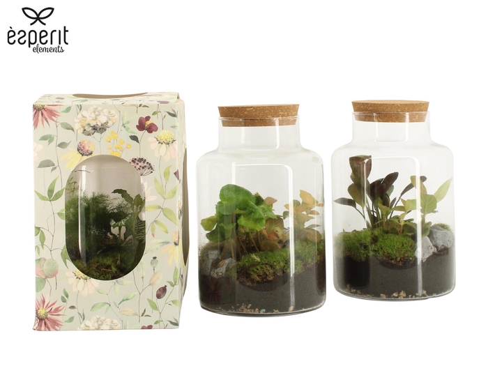 <h4>90922: Terrarium arrangement</h4>