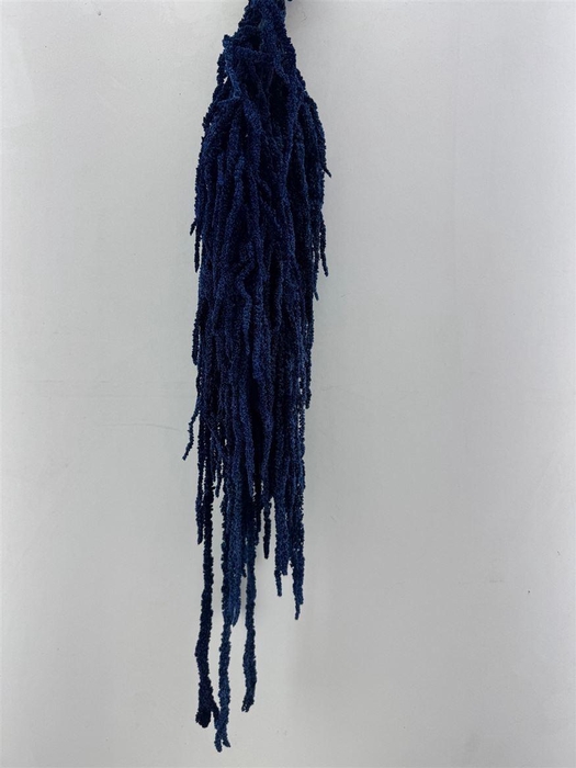 <h4>Pres Amaranthus Caud Lolita Bunch</h4>