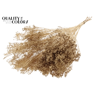 Broom Bloom p/bunch in poly Antique Gold