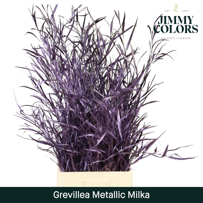<h4>Grevillea (bunch) Metallic milka</h4>