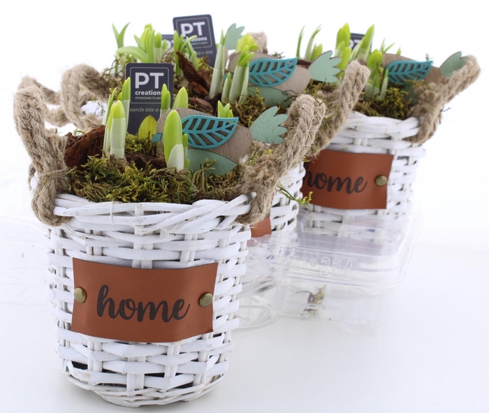 <h4>ARR N TETE A TETE</h4>