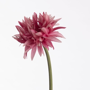 AF Gerbera Spider L55cm Pink