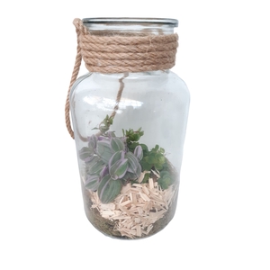Arr.   Kamerplant Groen L%