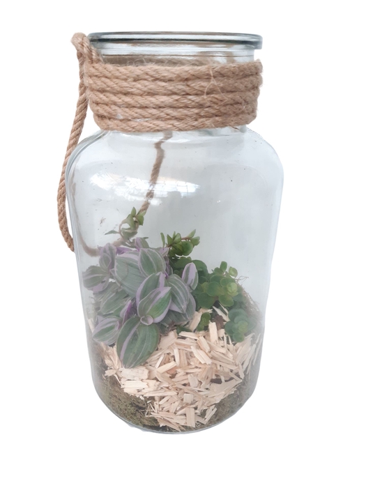 <h4>Arr.   Kamerplant Groen L%</h4>