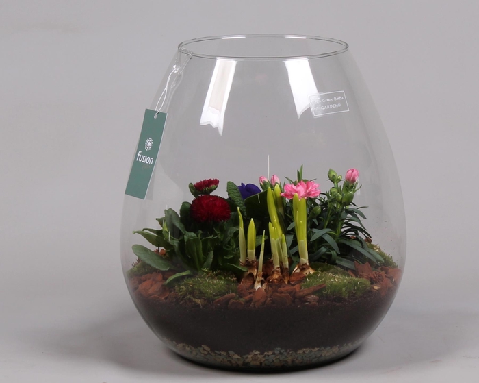 <h4>Green Bottle Abby XLarge Voorjaar met Arrangement</h4>