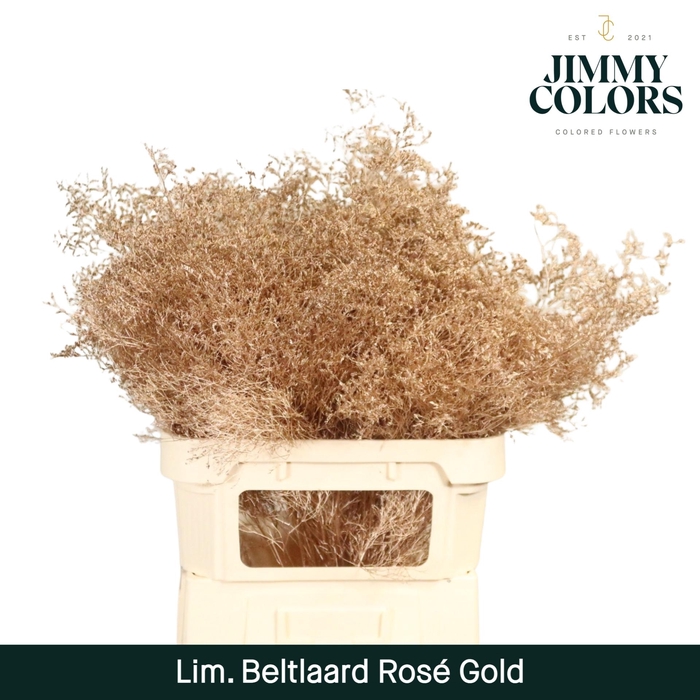 <h4>Lim Bel L90 Metallic rose gold</h4>