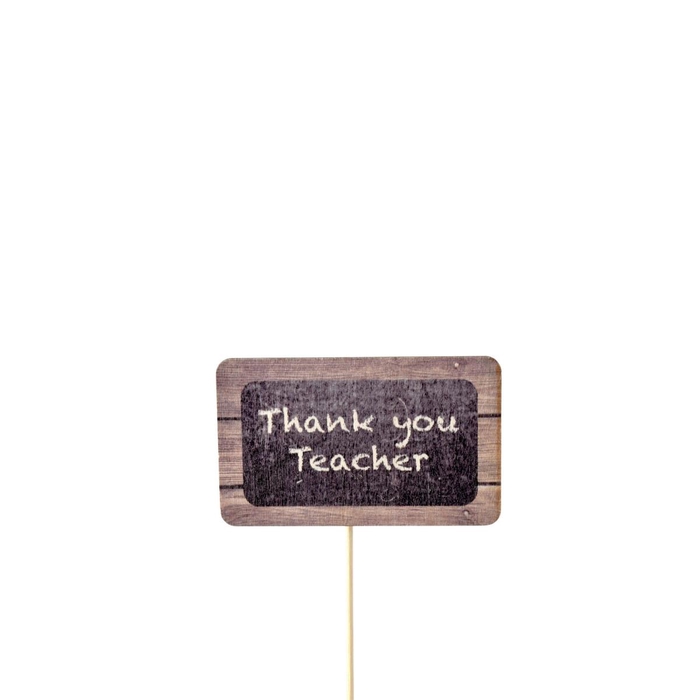 Bijsteker 50cm Thank you teacher 6cm