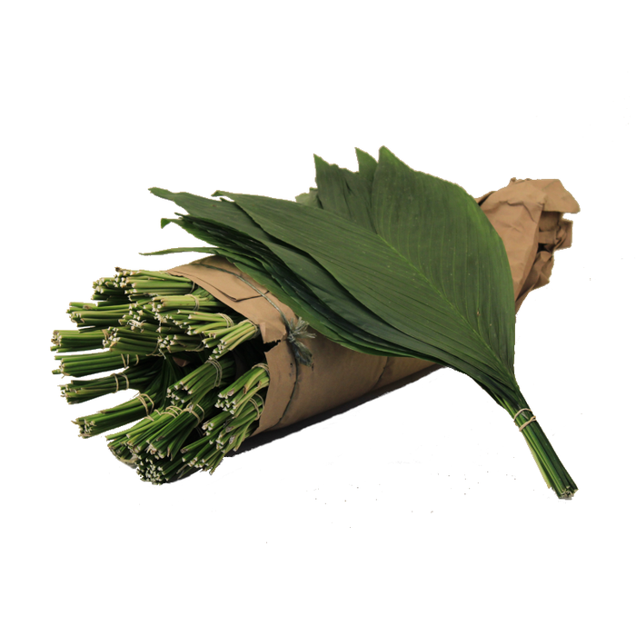 COCOS XXXL ROLL